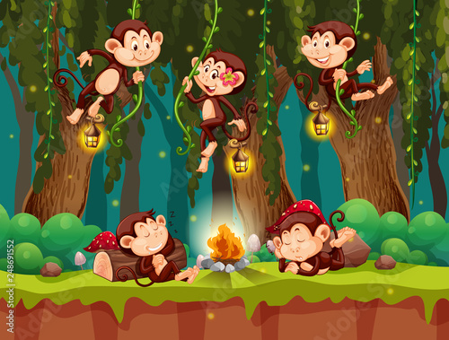 Monkey at the wild forest