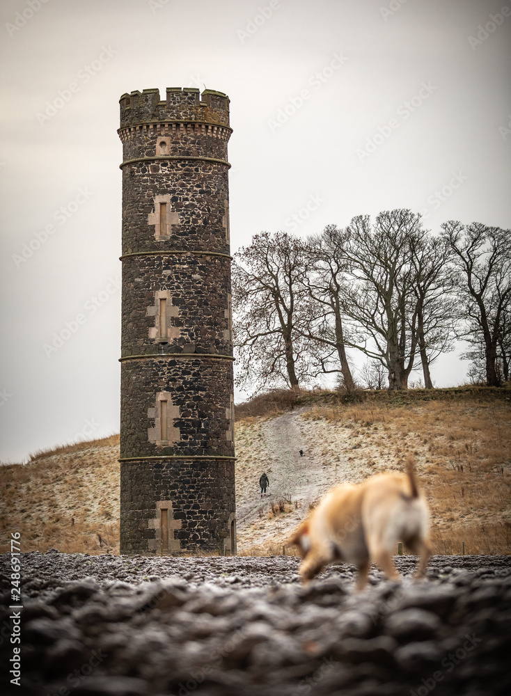 Fototapeta premium The Landscape