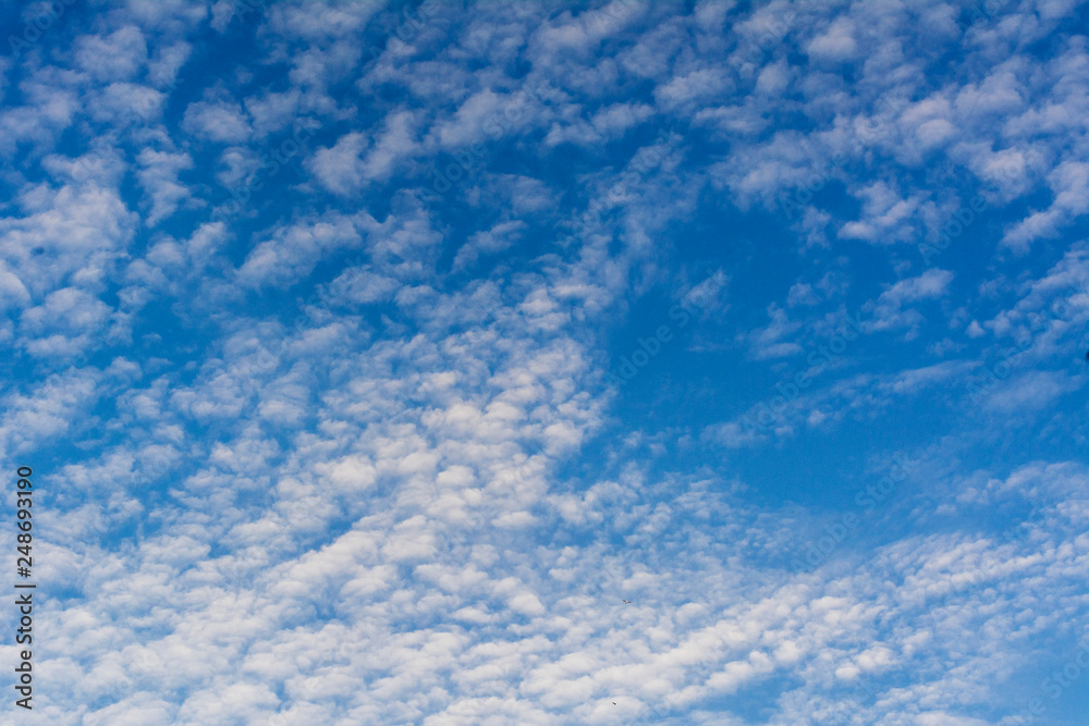 blue sky with many small Cumulus clouds predawn sky