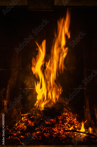 dark background bonfire from branches. flame and sparks