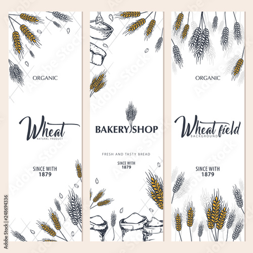Set of Bakery backgrounds with wheats. Linear graphic. Bread banner collection. Bread house. Vector illustration