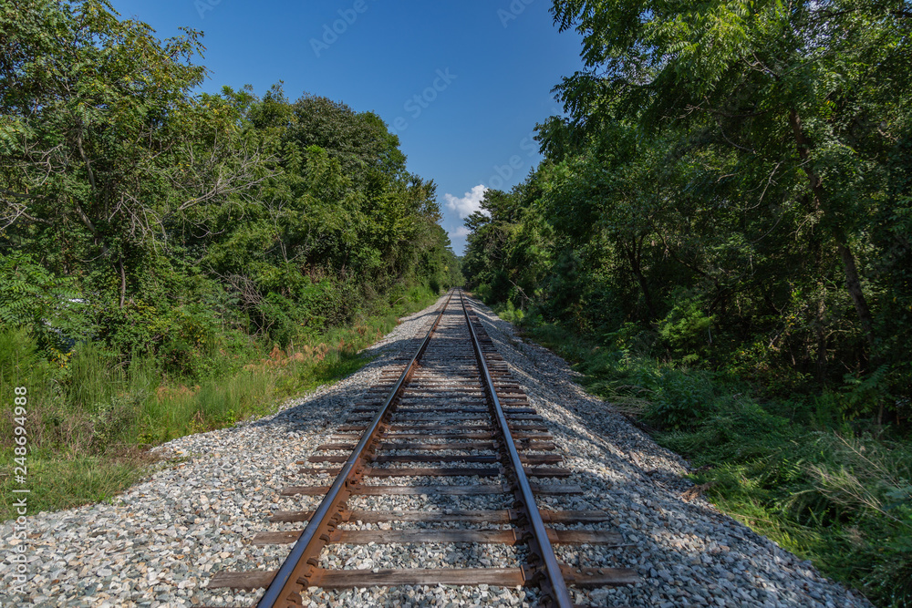 Railroad tracks on a summer day.