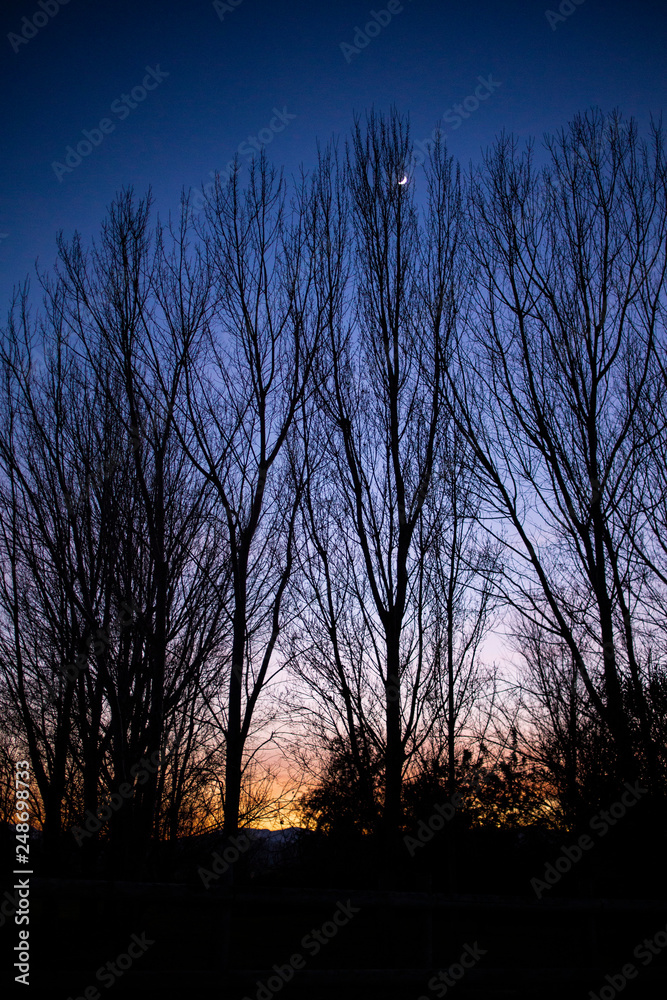 Fototapeta premium Vistas del parque al atardecer