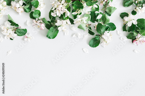 Flowers composition. Apple tree flowers on pastel gray background. Spring concept. Flat lay, top view, copy space