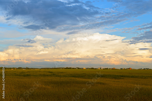 expressive sky with clouds over the field in the summer evening