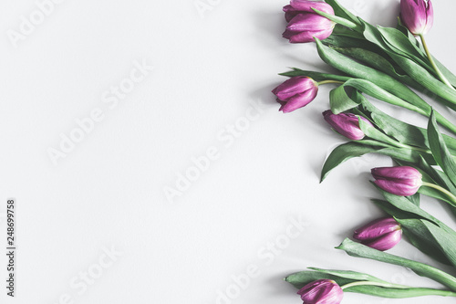 Fototapeta Naklejka Na Ścianę i Meble -  Flowers composition. Purple tulip flowers on pastel gray background. Valentines day, mothers day, womens day, spring concept. Flat lay, top view, copy space