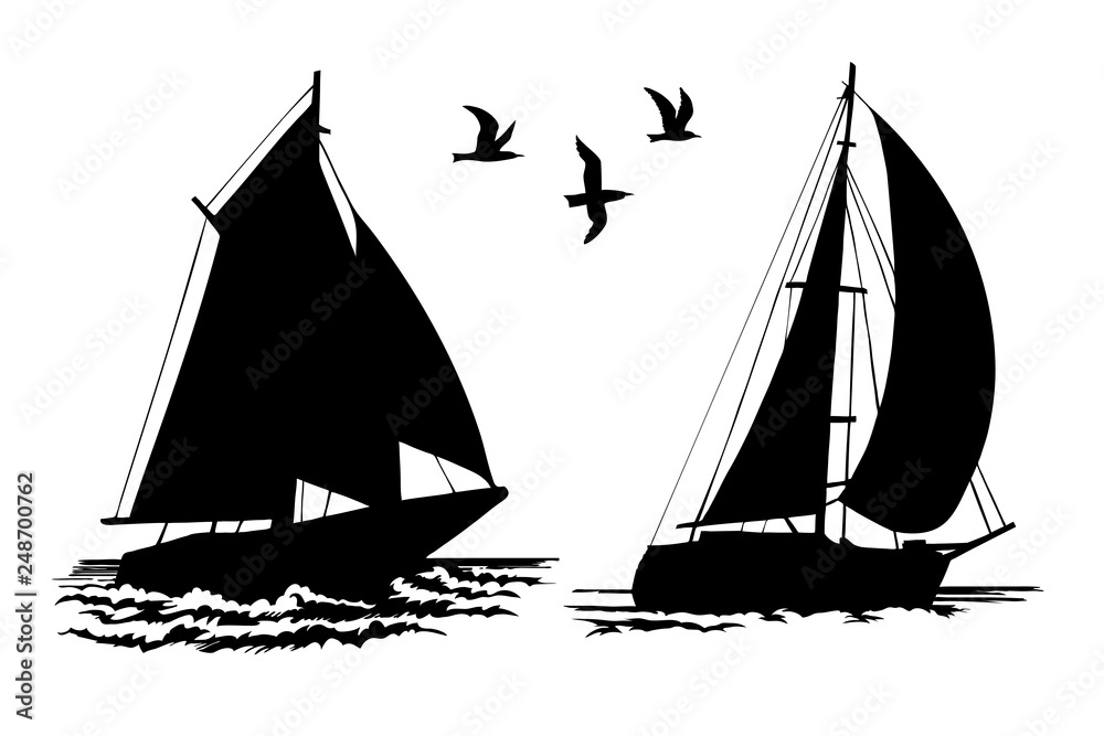 Silhouettes of sailing yachts and seagulls
