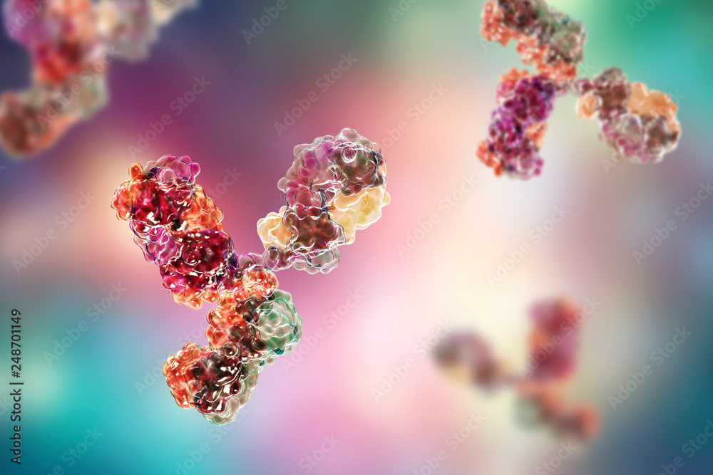 Molecular model of antibody taking part in immune defense. Molecule of immunoglobulin, 3D illustration - obrazy, fototapety, plakaty 