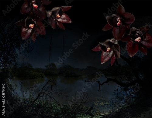 Black orchids on a tropical jungle background