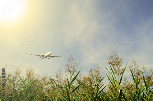 Bottom view through green plants on a plane in the sky with clouds the sun is shining.