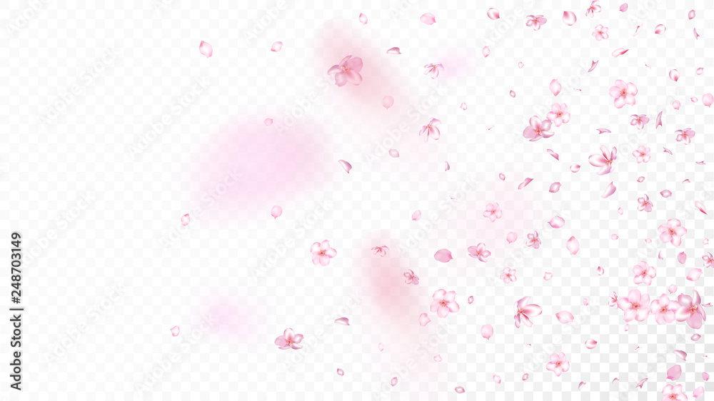 Nice Sakura Blossom Isolated Vector. Summer Flying 3d Petals Wedding Frame. Japanese Blurred Flowers Illustration. Valentine, Mother's Day Realistic Nice Sakura Blossom Isolated on White