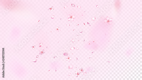 Nice Sakura Blossom Isolated Vector. Watercolor Showering 3d Petals Wedding Texture. Japanese Oriental Flowers Illustration. Valentine  Mother s Day Spring Nice Sakura Blossom Isolated on Rose