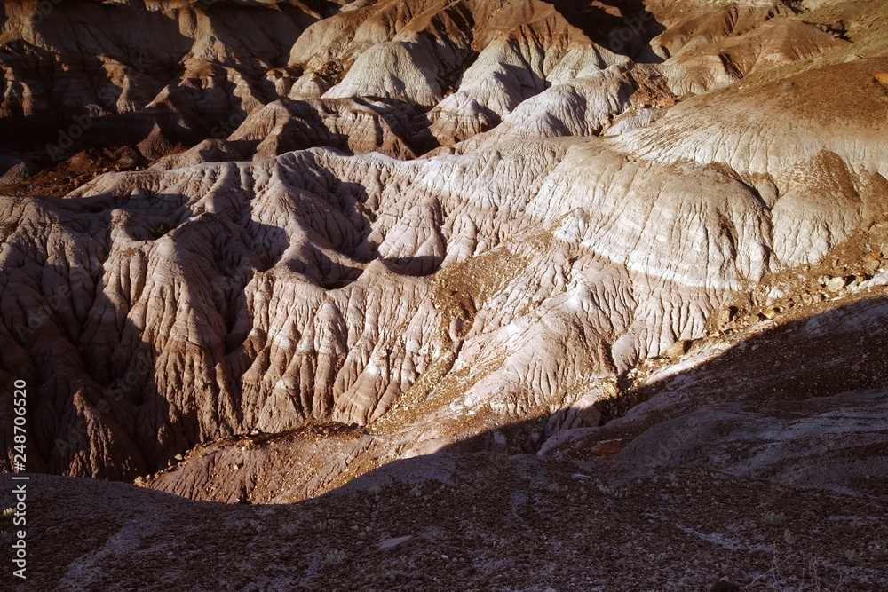 Petrified Forest National Park Petrified Forest National Park