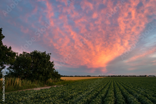 Sunset with vivid colors over the countryside between Gouda and Leiden, The Netherlands