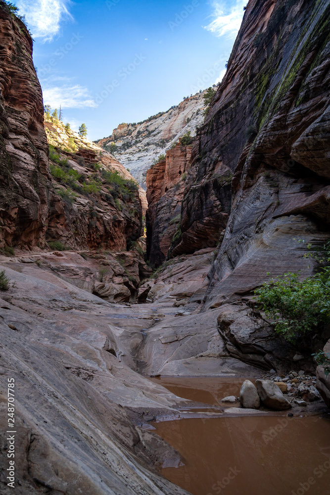 Slick sandstone canyon walls and muddy puddles along the Observation Point hiking trail in Zion National Park