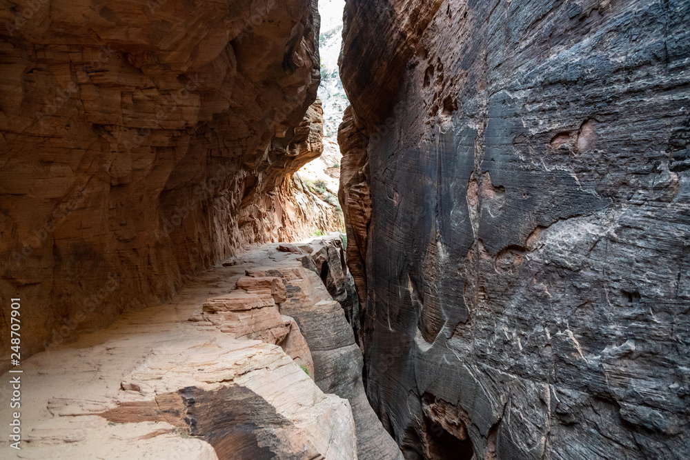 Slick sandstone canyon walls and a narrow, low-clearance walkway along the Observation Point hiking trail in Zion National Park