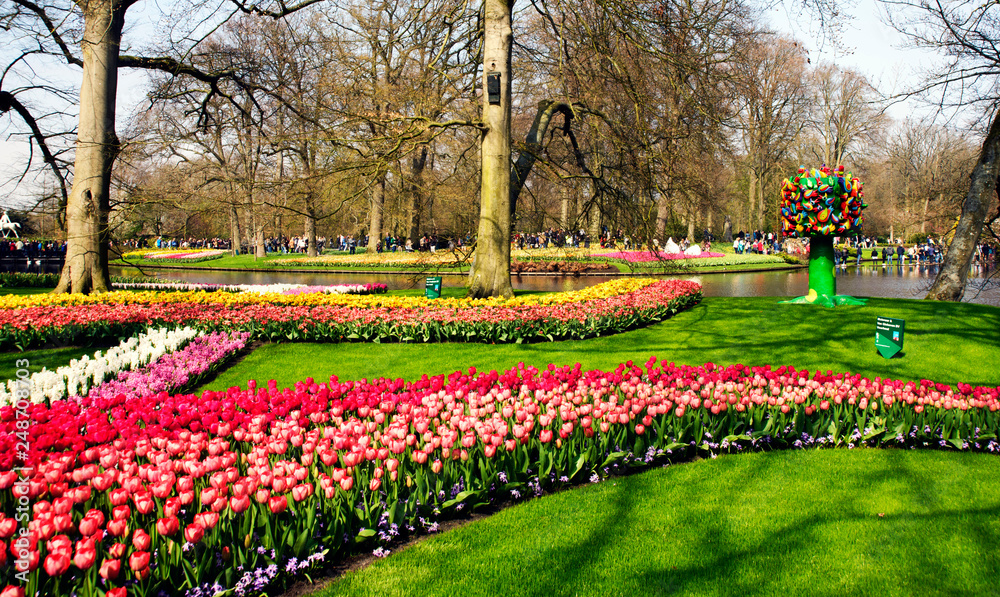 Keukenhof, the Netherlands, April 14, 2018. Beautiful spring flowers: red tulips, yellow daffodils, delicate hyacinths in the famous Keukenhof park in the Netherlands in early spring on a sunny day. 