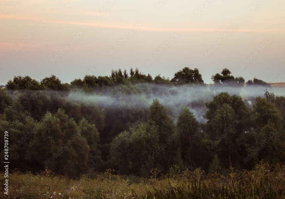 Forest fire. Pollution and a lot of smoke. Forest fire. Pollution and a lot of smoke.