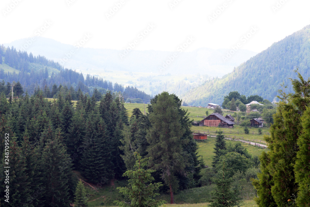 Fototapeta premium Beautiful mountain landscape in summer