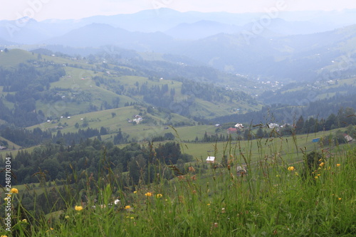 Beautiful mountain landscape in summer