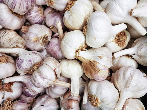 Agriculture full frame background - pile of organic garlic bulbs for sale in close-up.