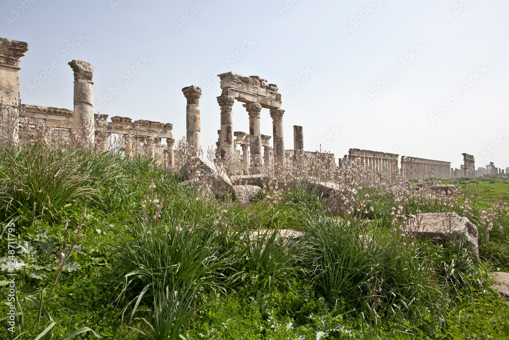 Ruins of Apamea (Afamia). Syria