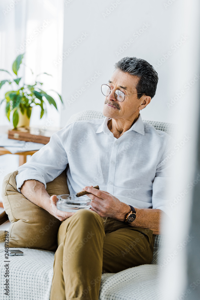 retired man with mustache holding sigar and ashtray in hands retired man with mustache holding sigar and ashtray in hands
