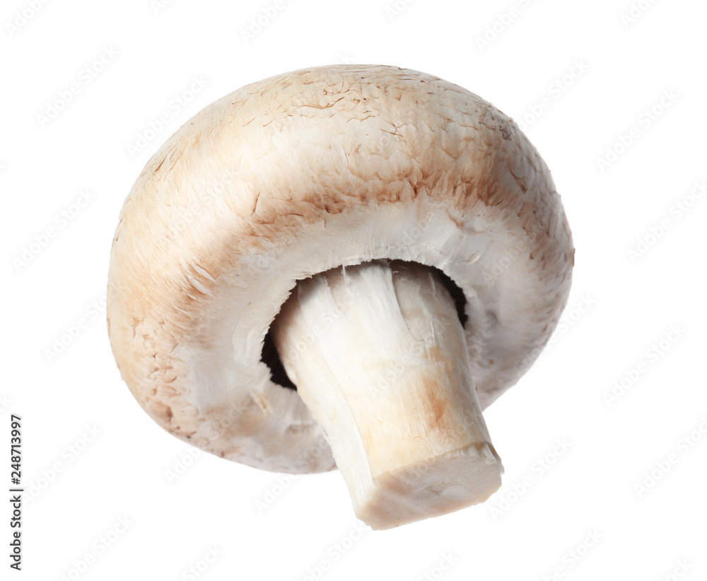 Fresh champignon mushroom isolated on white. Healthy food Fresh champignon mushroom isolated on white. Healthy food