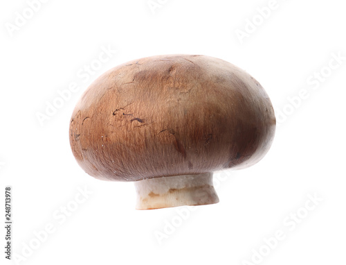 Fresh champignon mushroom isolated on white. Healthy food