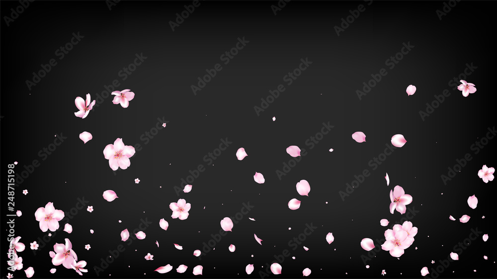 Nice Sakura Blossom Isolated Vector. Spring Falling 3d Petals Wedding Design. Japanese Beauty Spa Flowers Wallpaper. Valentine, Mother's Day Realistic Nice Sakura Blossom Isolated on Black