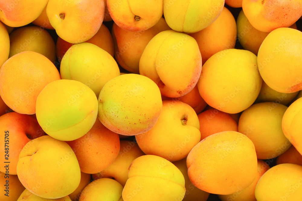 Ripe juicy orange apricots fruit background.
