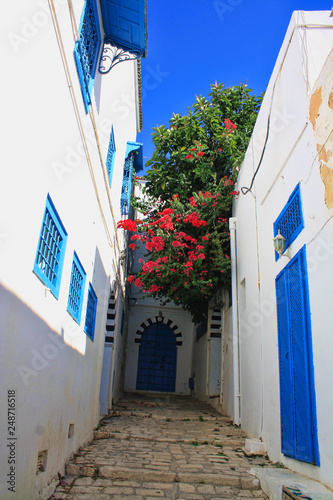 Naklejki na drzwi Tunezja
