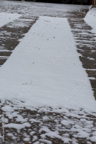 Snowy Driveway
