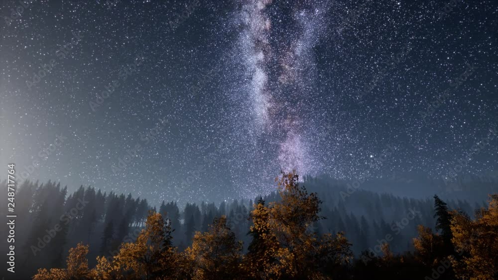 Milky Way stars with moonlight above pine trees forest