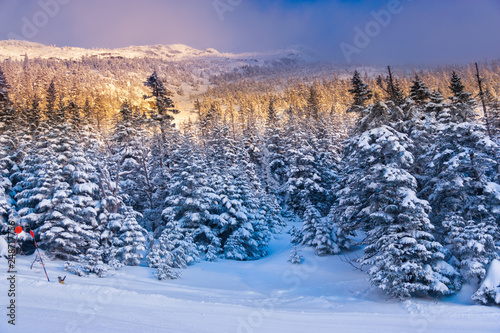 Snow covered trees on Mt. Mansfield, Stowe, Vermont, USA © Don Landwehrle