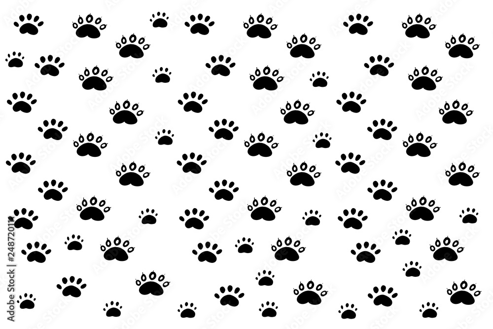 The way Panda prints with five fingers paws. The footprints of animals comic funny. 