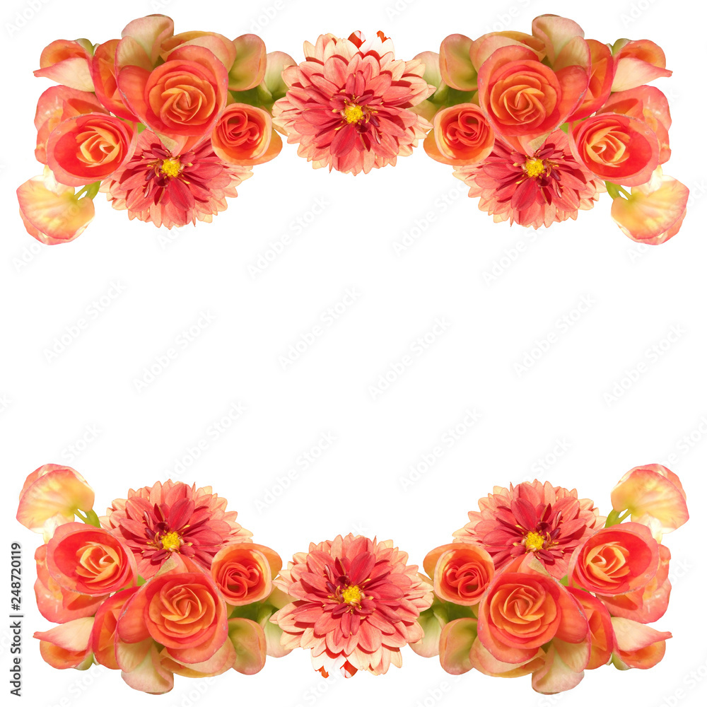 Beautiful floral background of dahlias and begonias Beautiful floral background of dahlias and begonias