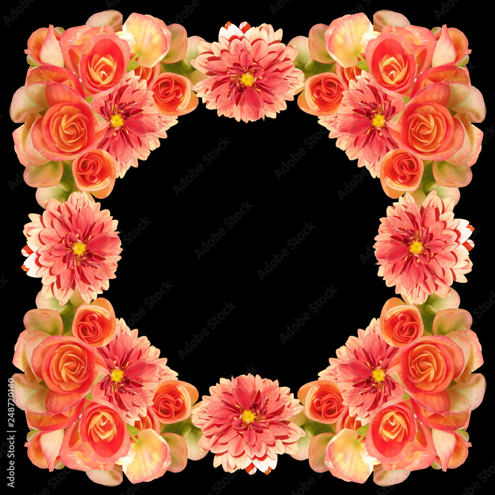 Beautiful floral background of dahlias and begonias Beautiful floral background of dahlias and begonias