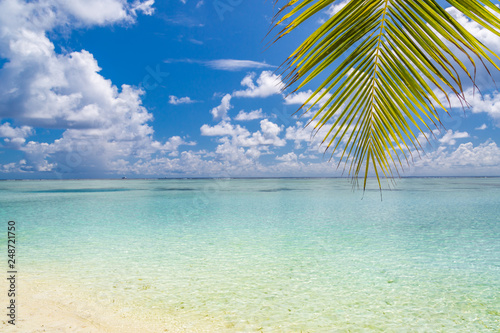 Fototapeta Naklejka Na Ścianę i Meble -  Perfect beach vacation banner. Summer landscape with palm leaf and blue sea, exotic travel destination. Wonderful scenery background design