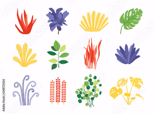 Set of colorful plant. Green concept. Flat vector illustration.