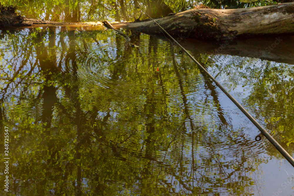 Fishing rod with a float while fishing in the forest river Fishing rod with a float while fishing in the forest river