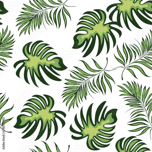 Seamless pattern of a tropical palm tree  jungle leaves. Vector floral pattern.