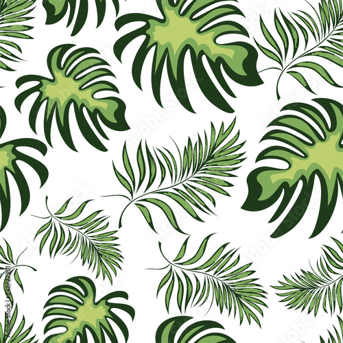 Seamless pattern of a tropical palm tree, jungle leaves. Vector floral pattern.