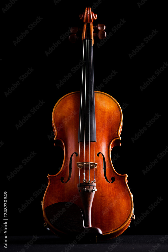 retro violin on a black background retro violin on a black background