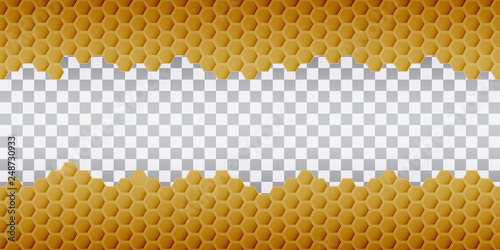 Hexagonal realistic honeycomb seamless texture on transparent background.