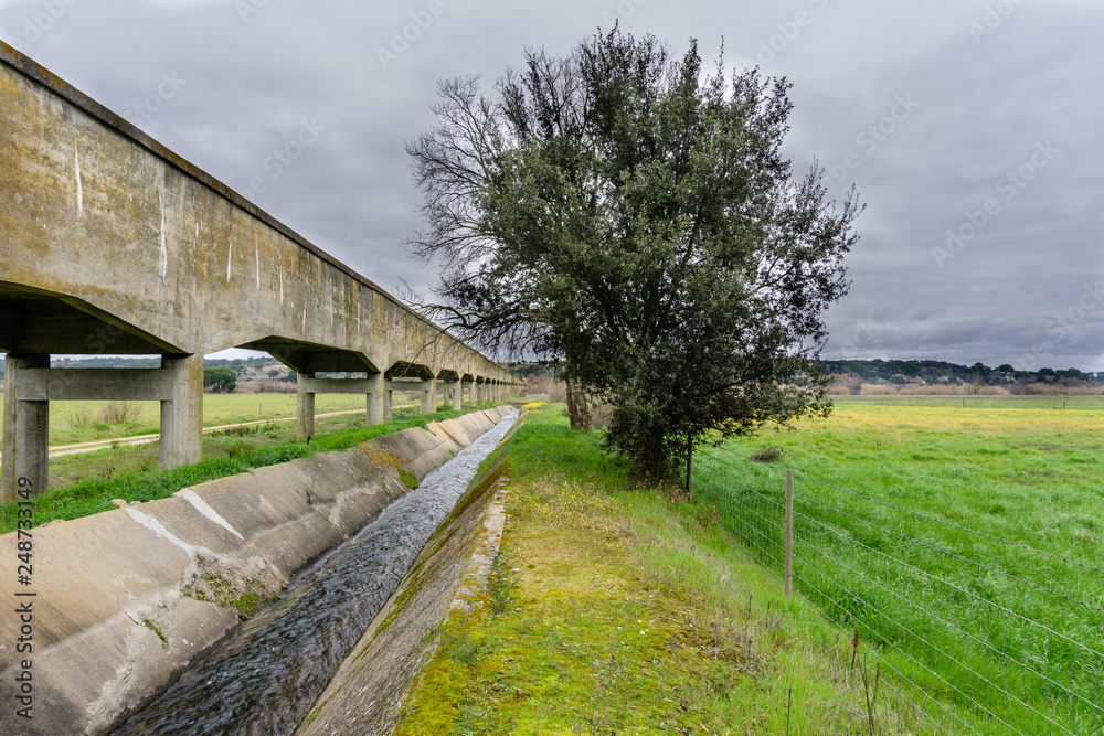 Irrigation canal or irrigation channel in concrete wall Send water from the reservoir to the agricultural area of ​​the farmer.
