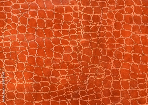 crocodile skin texture