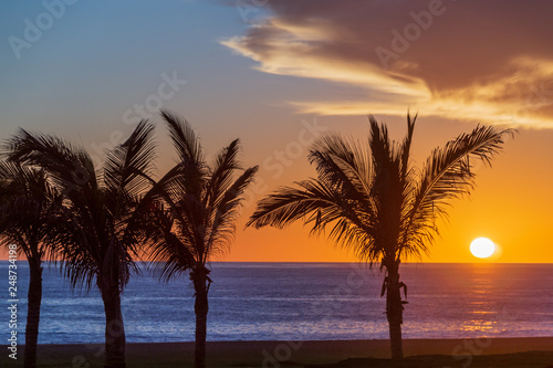Golden sunset with palm trees on a beach on the Pacific Ocean in Mexico.