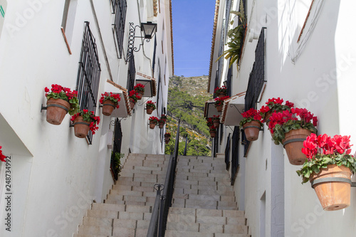 Mijas, Spain, 24th January 2019. A set of steps in a small laneway  in the white village of Mijas brightly decorated with flower pots
