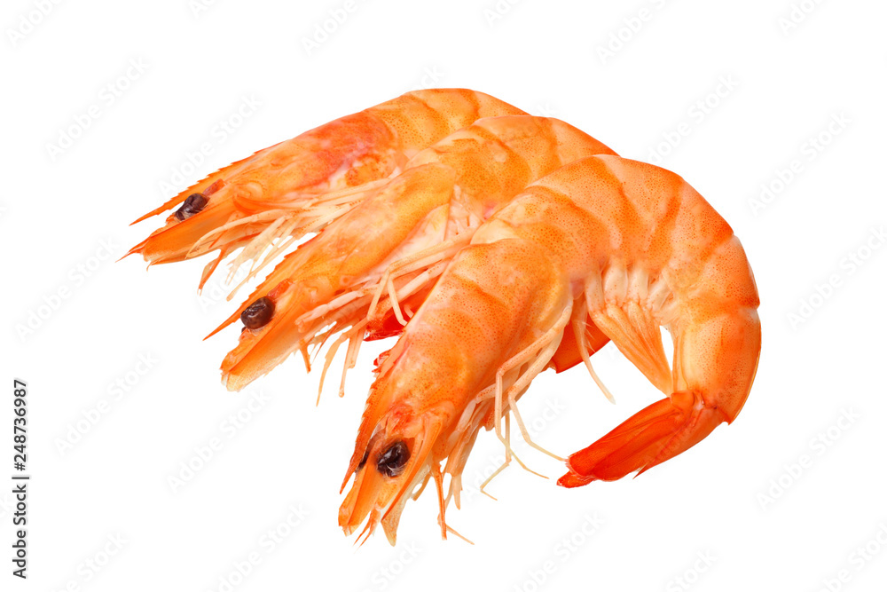 shrimps isolated on a white background. top view shrimps isolated on a white background. top view